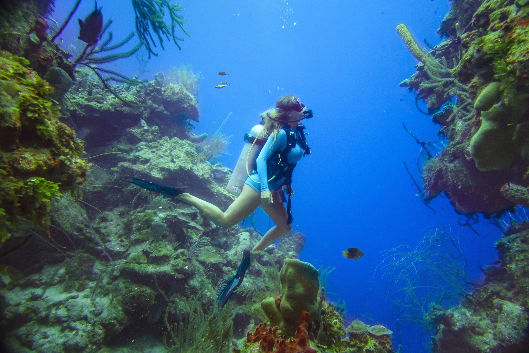 Belize Scuba Diving